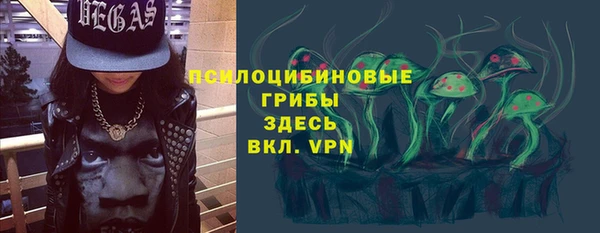 СК Балахна